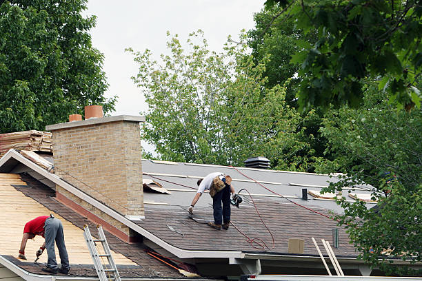 Roof Gutter Cleaning in Sheridan, CA