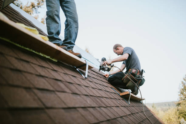 Quick and Trustworthy Emergency Roof Repair Services in Sheridan, CA